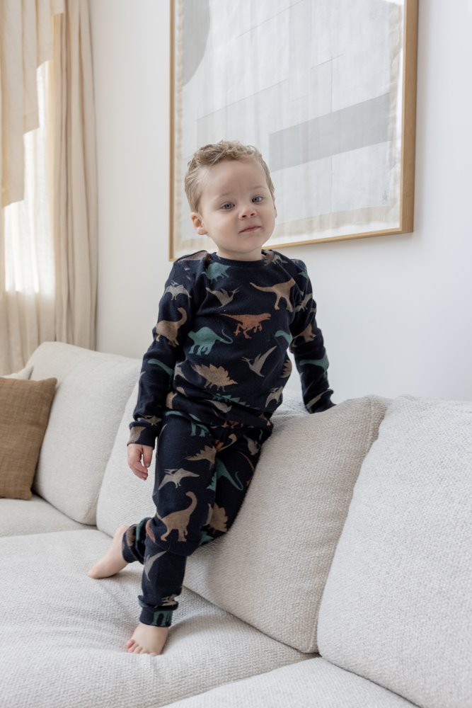 Premium Feetje Pyjama Davy Dino